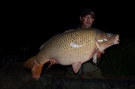 campion printre campioni